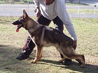 CLICK ON IMAGE FOR LARGER VIEW