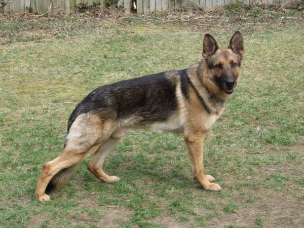 Ulrich Vom Hammerbachtal